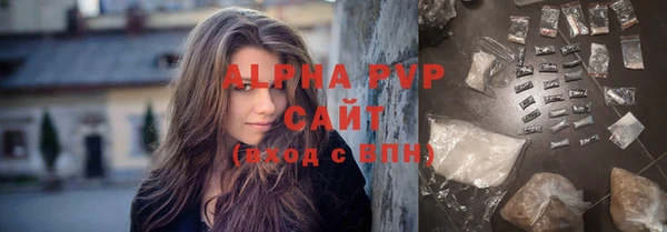 прущие грибы Медногорск