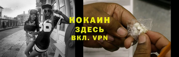 прущие грибы Медногорск