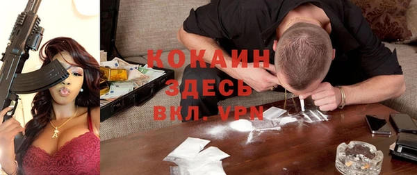 прущие грибы Медногорск