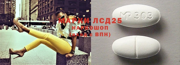 прущие грибы Медногорск