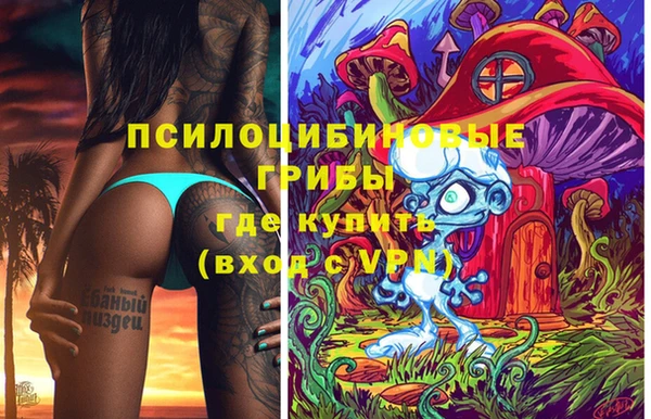 бошки Михайлов